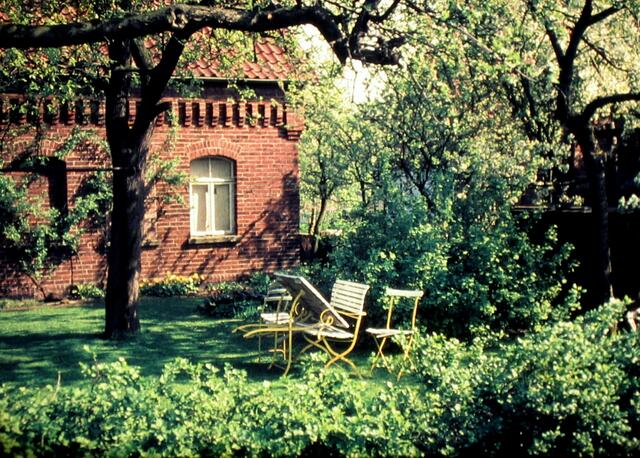 hinten im Garten