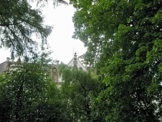 Blick mit Bäume