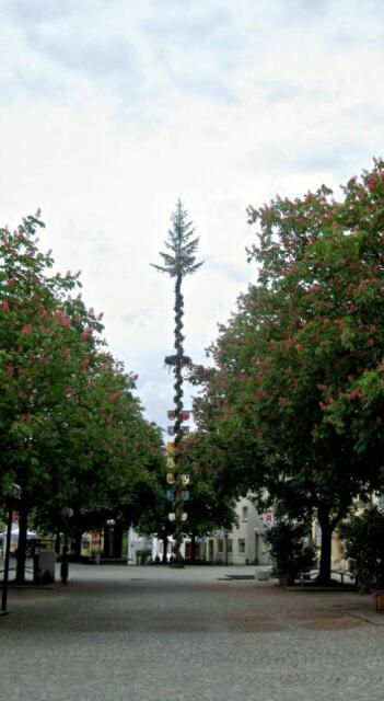 imposanter Maibaum mit Allee