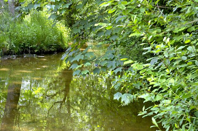 Wassergraben am Schloss