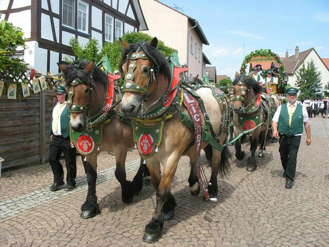 Die Licher Brauerei war nicht nur in Neustadt dabei.