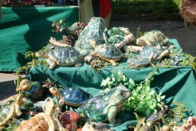 Noch mehr dieser Schildkröten und Frösche