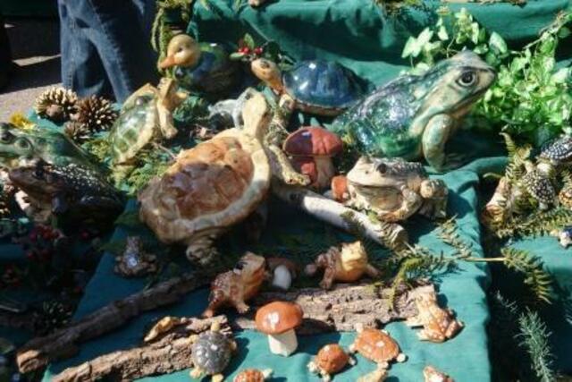 Scholdkröten, Frösche uns was sonst im Wasser sich aufhält