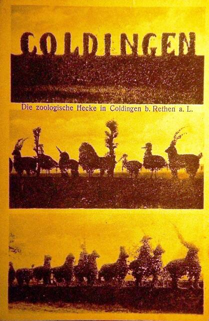 Die zoologische Hecke von 1905