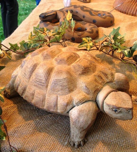 Eine schöne große Schildkröte