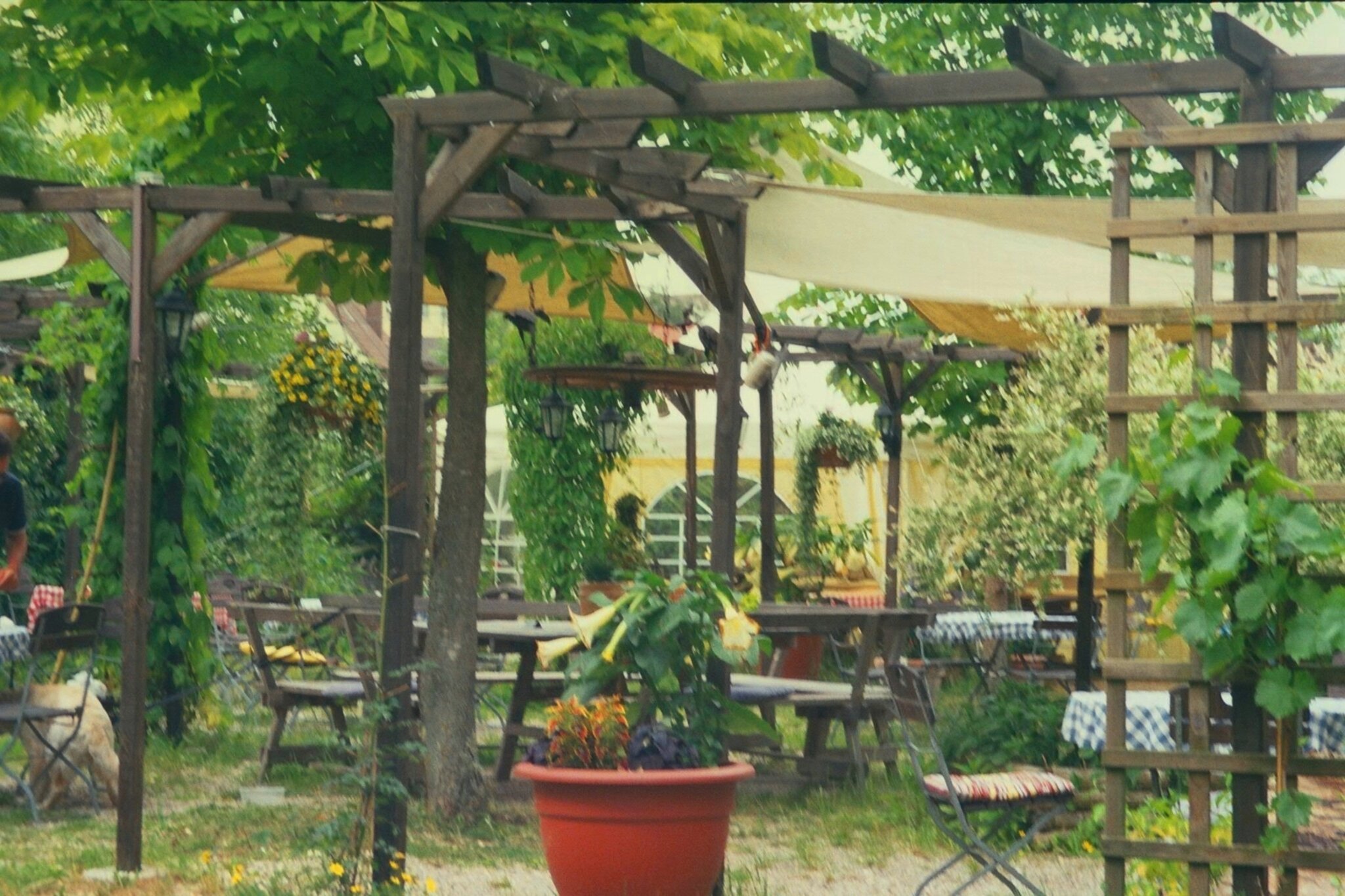immer wieder zieht es mich in den biergarten schlossmühle warum wohl