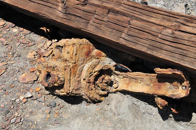 man beachte das Holz