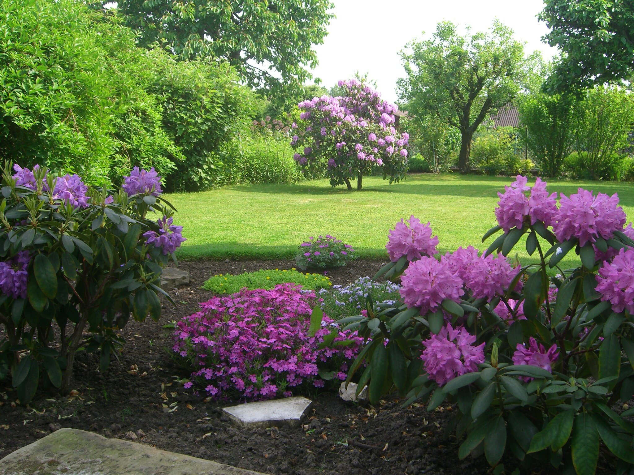 Kleingarten am Lindener Berg HannoverLindenLimmer