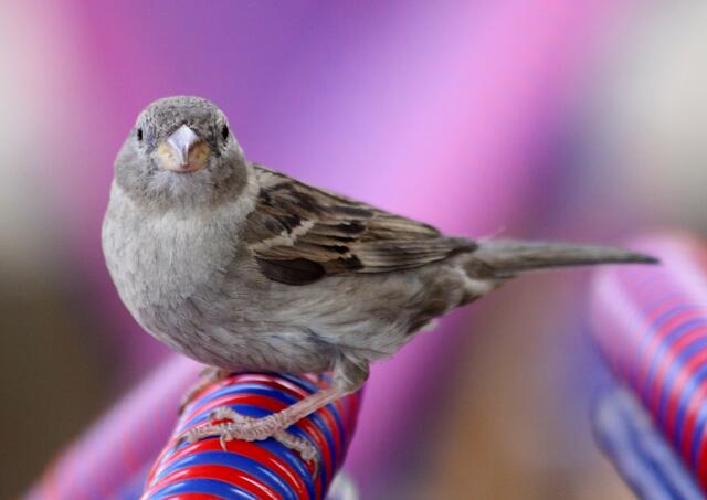 Auweia --- die ahnt etwas