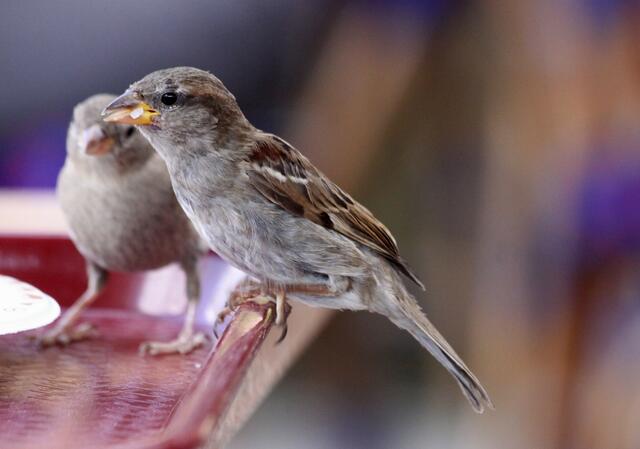 Von meiner besten Seite --- ja doch