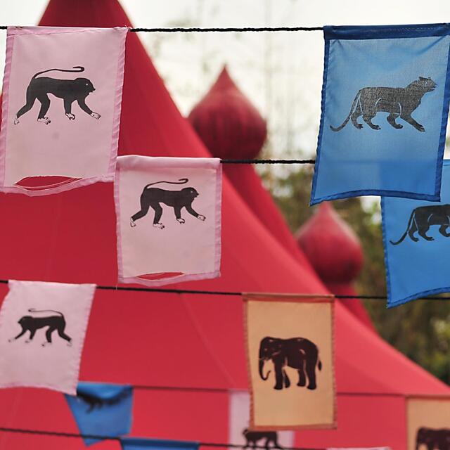 Bunte Fähnchen weisen den Weg zu weiterem Dschungelgetier