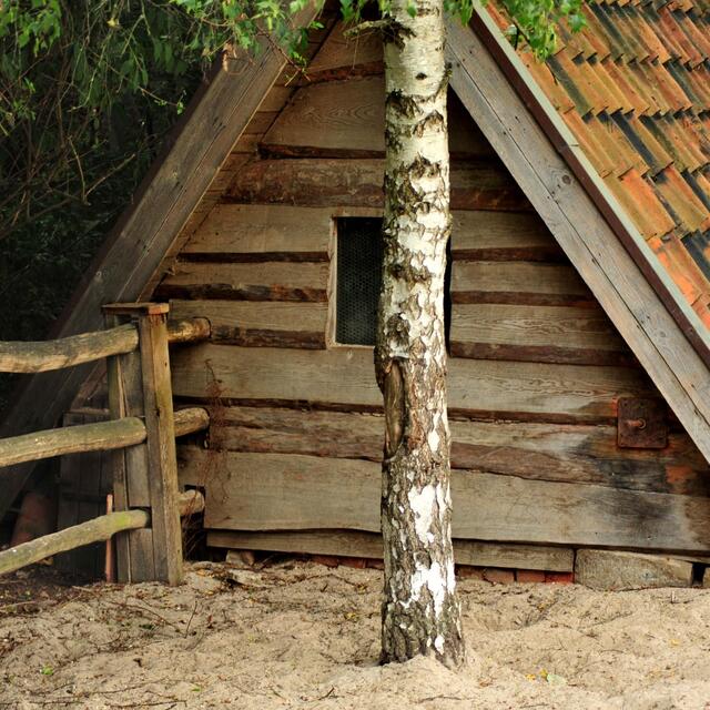 Eine Heide-Idylle mitten in der Großstadt Hannover!