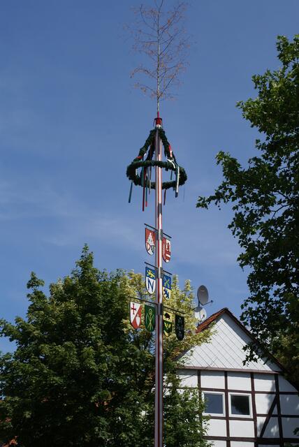 Maibaum auf dem Markt