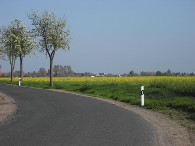 Straße nach Gehrden