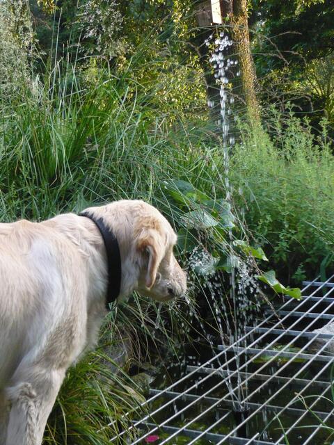 "Wasser - cool!"