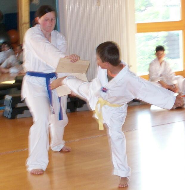 Leon bei Bruchtest (Seitwärtsfußstoss)