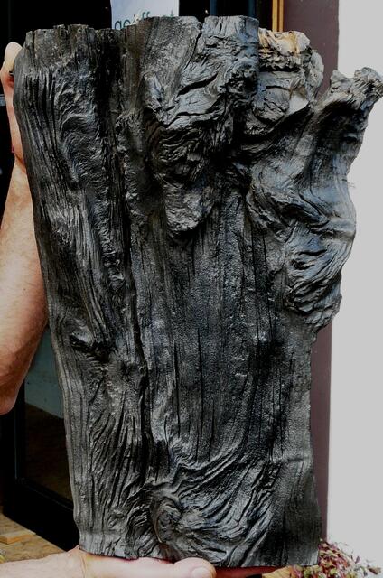 ....und die schwarze Mooreiche, ca. 800 - 5000 Jahre alt.