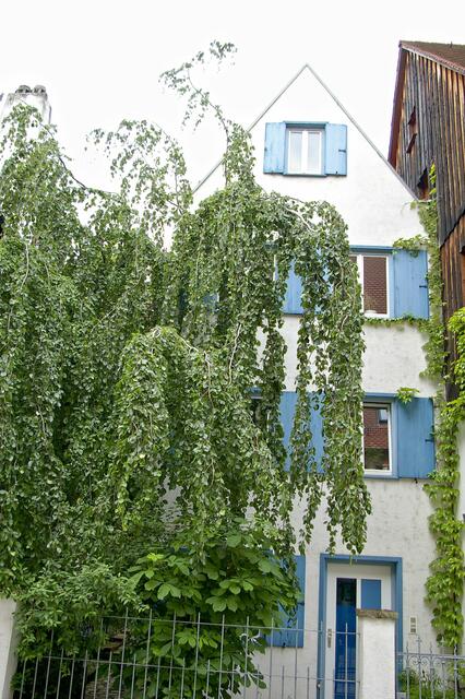 schmales Haus