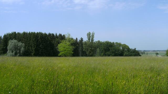 Richtung Nord (im Hintergrund Golfplatzfläche)