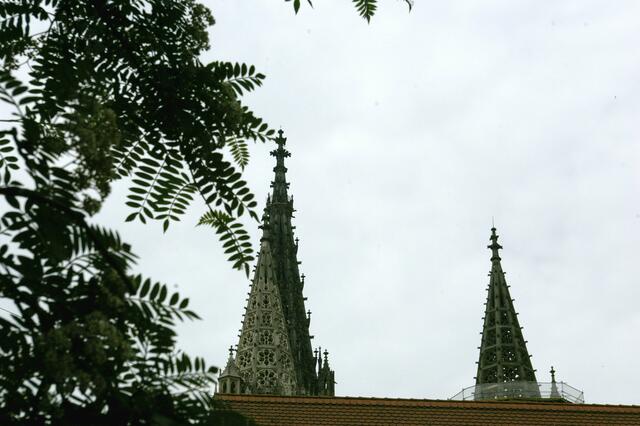 Blick zurück auf den Münster