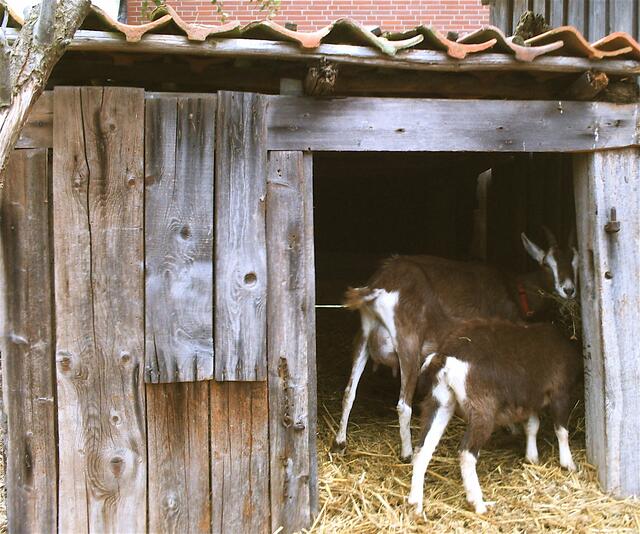Nora und Nanni