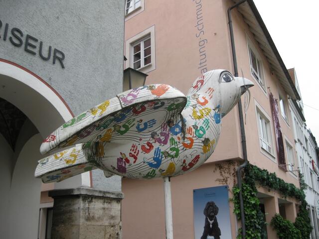 wieder ein Begleiter