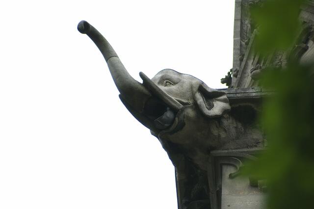 nicht im Porzellanladen, auf dem Münster