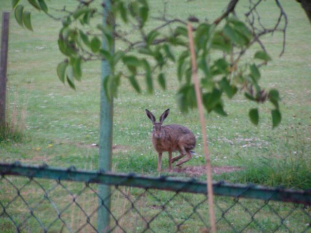 Gucken ob keiner guckt