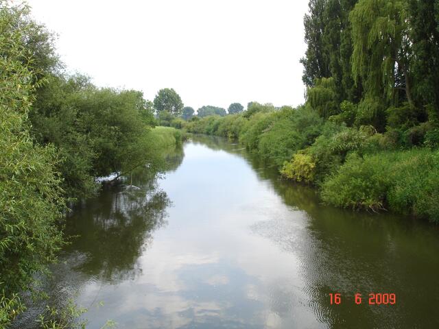 Natur pur