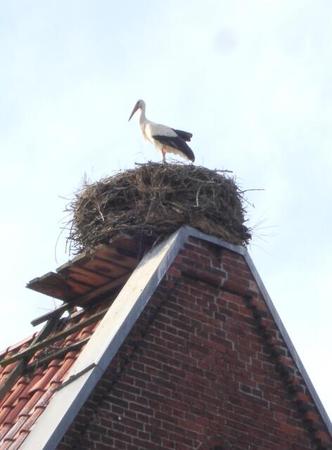 Zu mir!!