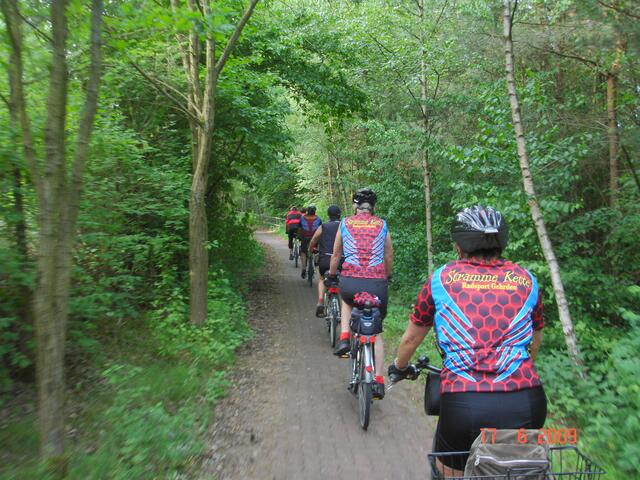 Durch einen Wald