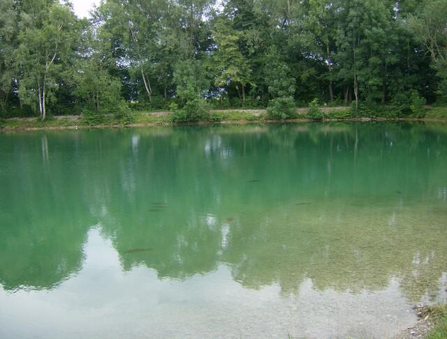 Fischweiher am Weg