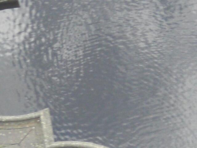 Die Wasserspiel beginnen