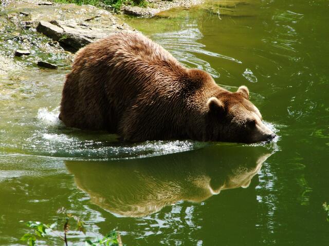 Ich geh jetzt mal Baden!