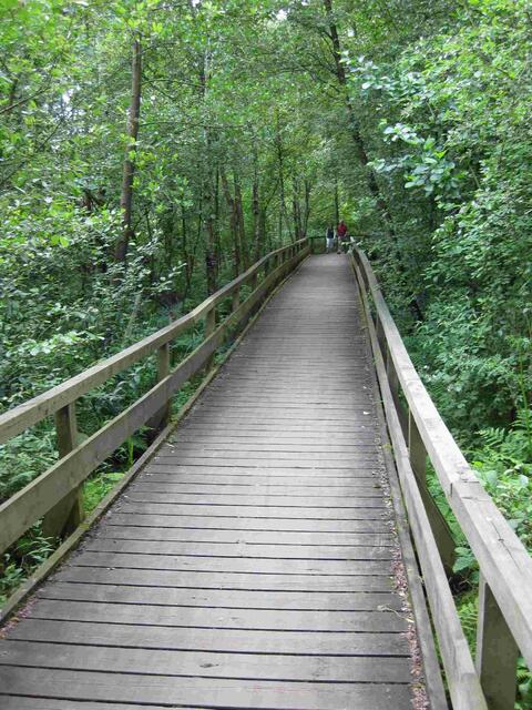 ...der Holzbohlenweg...(darunter Moorastiges!!!)