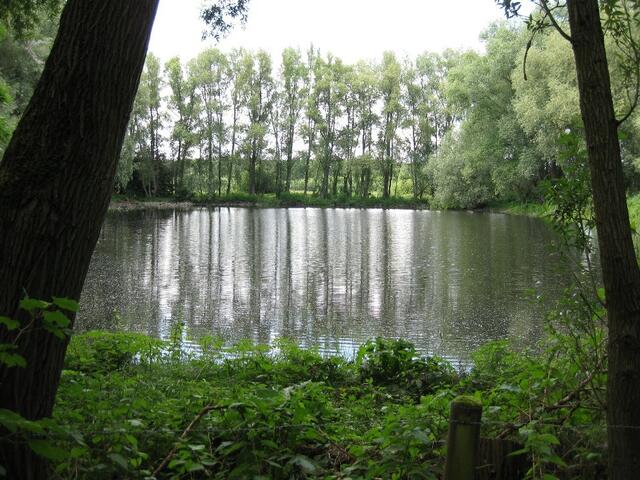 ...einer der Fischteiche am Hagenburger Kanal...