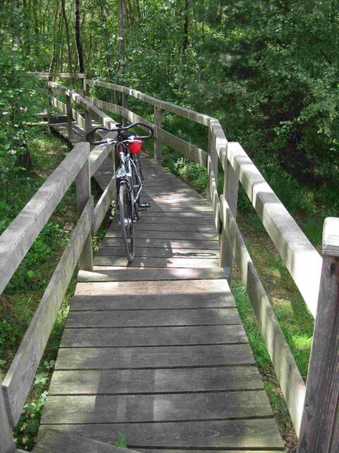 ...der Holzbohlenweg Richtung "Alte Moorhütte...