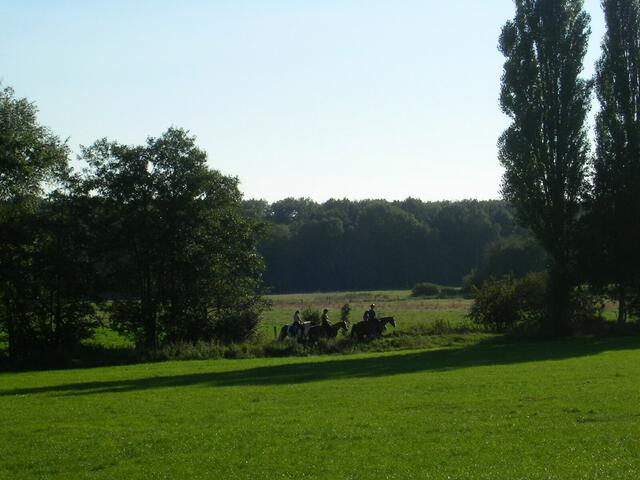 ...Reiter am Waldesrand...