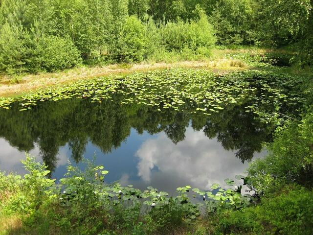 ...idyllisches Fläckchen...