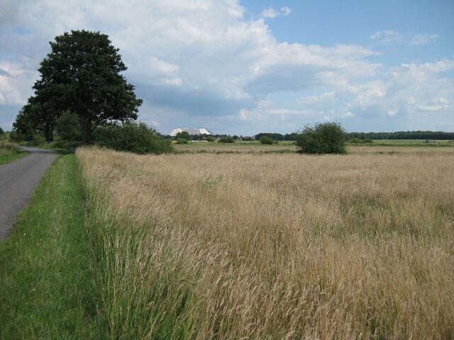 am Horizont, der "Kalimanscharo" (Salzberg in Bokeloh)