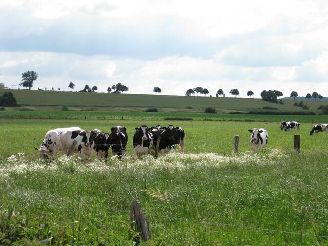 ...am Horizont , die Hauptverkehrsstrasse...