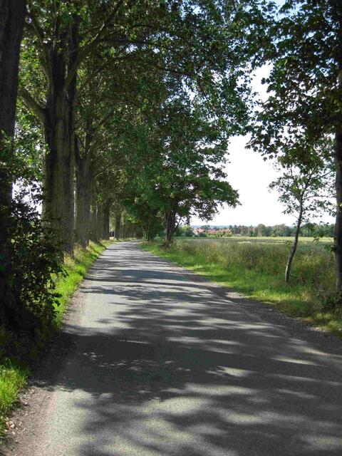 Rückblick auf Steinhude, im Rücken Richtung Wunstorf...