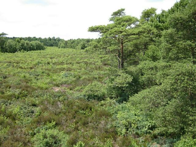 ...warm und schön...