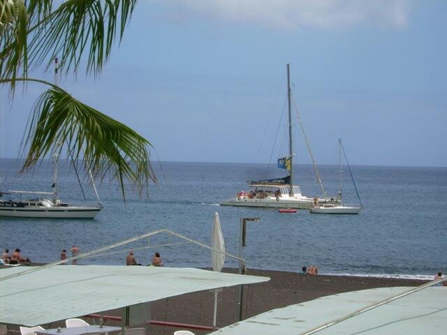 Mit einem Katamaran zum Whale Watching.