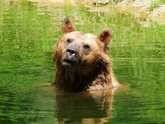 Was willst du? Ich will baden!