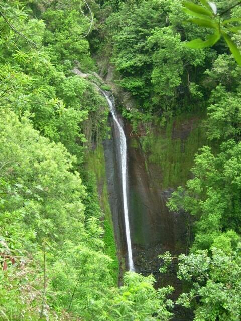 Der Wasserfall an der Levada dos Tornos zwischen Camacha und Gaula.