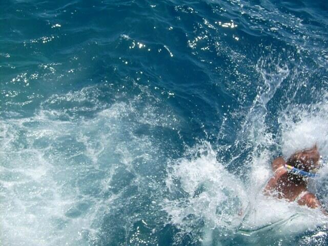 Schnorcheln im glasklaren Atlantik am Lido Galosol: farbenfrohe Fische garantiert!