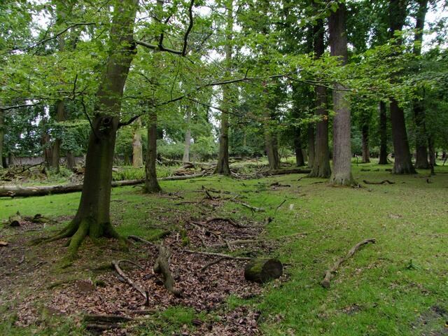 Herrliche Landschaft im Wisentgehege!