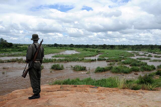 Hippo-Pool im Krügerpark