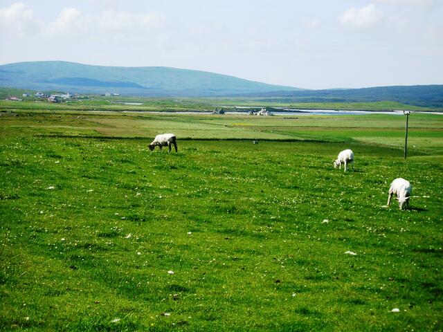 Valaqui bei Clachan Sands - North Uist